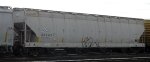 RGCX 38243